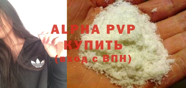 индика Ессентукская