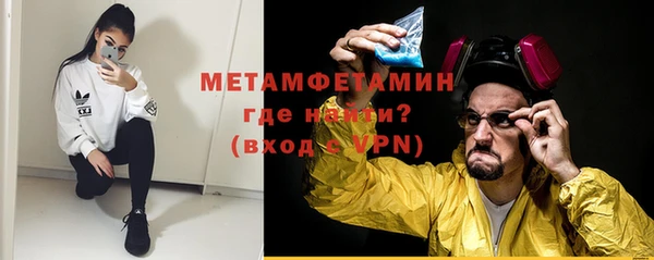 прущие грибы Заводоуковск