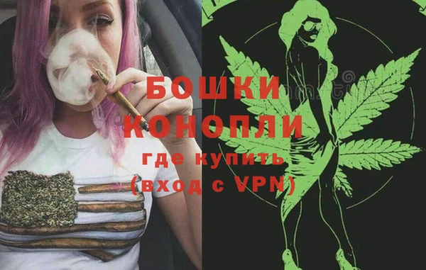 прущие грибы Заводоуковск