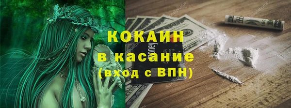 прущие грибы Заводоуковск
