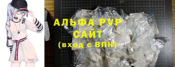 прущие грибы Заводоуковск
