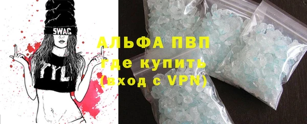 индика Ессентукская