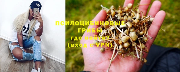 бошки Заволжск