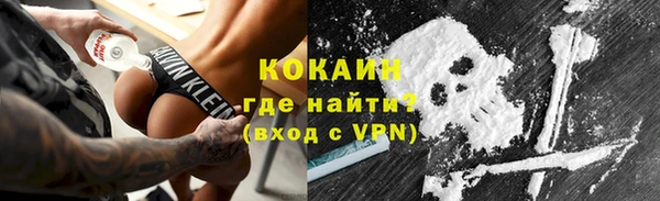 индика Ессентукская