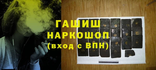 прущие грибы Заводоуковск